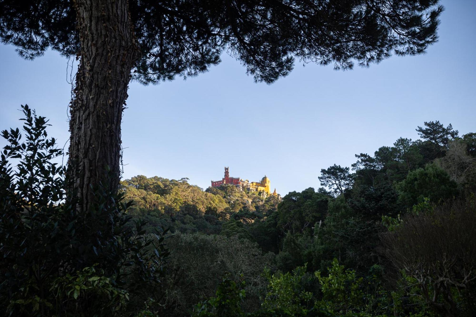 Chalet Chapeu De Sol - Σίντρα Εξωτερικό φωτογραφία